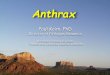 Anthrax - APHL · The three diseases and their pathogens I will talk about today have been central in bioterrorism, bioweapons and defense effor\൴s. We have been involved in biodefense