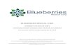 BLUEBERRIES MEDICAL CORP. · PDF file BLUEBERRIES MEDICAL CORP. (FORMERLY CDN MSOLAR CORP.) CONDENSED INTERIM CONSOLIDATED FINANCIAL STATEMENTS For the three and six months ended June