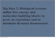 Big Idea 2: Biological systems utilize free energy and molecular … · 2020. 1. 28. · -Taxis and kinesis in animals-Chemotaxis in bacteria, sexual reproduction in fungi-Nocturnal