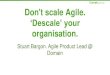 Don't scale Agile. ‘Descale’ your organisation. · organisation. Stuart Bargon. Agile Product Lead @ Domain . Scaling agile approaches Alignment Organisation Autonomy Consultants,