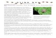 Stinkbug Information Packet€¦ · Web viewTreatment of the insects in crops is costly because the insecticides required to control it are broad spectrum toxicants that are highly