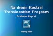 Nankeen Kestrel Translocation Program - AAWHG Nankeen Kestrel Translocation Project ¢â‚¬¢The Environmental