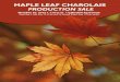 MAPLE LEAF CHAROLAIS Leaf catalogue-web.pdf · MAPLE LEAF MS CADET 853U MAPLE LEAF BOBBY 21M(FF) MAPLE LEAF MS BOBBY 642S MLS MISS DRAGON 231M Bred March 16 to Maple Leaf Pinay 8136U,