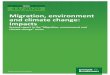 Migration, environment and climate change: Impacts · 2020. 3. 5. · TEXTE 43/2020 Ressortforschungsplan of theFederal Ministry for the Enviroment, Nature Conservation and Nuclear