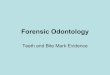 Forensic)Odontology - Brandt Science · 2019. 7. 24. · The%Importance%of%Forensic Odontology A%forensic investigation%of% teethwillhelpto% determine: • IIndividual% _____ •