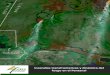 Incendios transfronterizos y dinámica del fuego en el ...incendios.fan-bo.org/Satrifo/reportes/2020/Reporte... · Pantanal. Santa Cruz, Bolivia. Portada: Imagen Satelital Sentinel-2