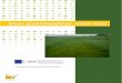 Meer groenbedekker, meer mais - Antwerp · 2020. 4. 15. · Meer groenbedekker bij gelijktijdige zaai ... Het vroeger zaaien, hetzij in combinatie met een vroege maisoogst hetzij
