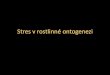 Stres v rostlinné ontogenezikfrserver.natur.cuni.cz/lide/viktor/vyvojrost/prezentace/11_stres.pdf · Světelný stres, tma a ontogeneze •Tma: viz fotomorfogeneze – (de)etiolace