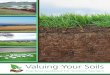 Valuing Your Soils - Farming for a Better Climate · 1 Valuing our Soils Valuing Your Soils Practical guidance for Scottish farmers Tips and ideas in this brochure can help you to