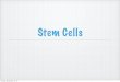 Stem Cells - Ms. kropac · might be alleviated by stem cell transplantation technologies. Examples include cardiovascular disease, autoimmune disease, diabetes, osteoporosis, cancer,