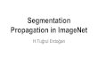 Propagation in ImageNet Segmentationnazli/courses/bil722/... · 2014. 5. 30. · bulunan sınıflar ve yeni sınıflarla bağlantılı eski sınıflar alt kümesinde çalışma En