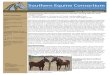 Understanding Stereotypic Behaviors in Horses: Parting .../media/system/2/0/9/1...Understanding Stereotypic Behaviors in Horses: Parting with the Term “Stable Vices” ... result