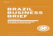 BRAZIL BUSINESS BRIEF · massive Carcará field, located in the one of the largest concessions in the Santos Basin, for US$2.5bn in 2016. The company is also progressing with the