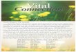 ConnectionConnection VitalVitalfiles.ctctcdn.com/e22bc6cf001/dda603ae-faca-45d2-b... · month were $21,496.44 for a monthly cash flow of positive $789.81. Cash flow for the year 2015