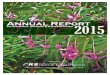 Annual Report Extramural Awards & Expenditures 2015 · Annual Report Extramural Awards & Expenditures 2015 Office of Research Services University of Hawai’i System for the period