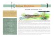 SPRING 2017 Solus Christus · 2020. 2. 24. · Spring 2017 Page 3 Solus Christus is a 501c3 non profit organization. All donations are tax deductible. Visit us at SolusChristusInc.org