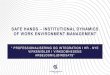 Safe Hands – Institutional dynamics of work environment ... · safe hands –institutional dynamics of work environment management ” professionalisering og integration i hr -
