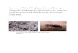 Survey of the Wingless Donna Buang Stonefly Riekoperla …yarraranges.vic.gov.au/files/assets/public/webdocuments/... · 2020. 1. 6. · Introduction Mt Donna Buang stonefly, Riekoperla