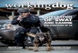 Issue 2 | March/April 2017 | $9 - Police K9 Training and ...tacticalpolicek9training.com/wp-content/uploads/... · dog training, we can use successive approximations in detection