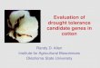 Evaluation of drought tolerance candidate genes in cotton · Drought: Abiotic stresses result in 70% to 80% average crop losses (Boyer, 1976) Water is the primary limiting factor