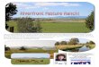 240 acres lying alongside ¾ mi of Lost River in Henley ...€¦ · 3 bedroom home overlooking the river valley. Abundance of waterfowl, cranes and birds of prey along peaceful &