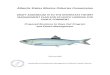 Atlantic States Marine Fisheries Commission · 2020. 2. 11. · 1 . Atlantic States Marine Fisheries Commission Seeks Your Input on Atlantic Herring Management. The public is encouraged