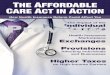 THE AFFORDABLE ARE ACT IN ACTION - Broadridge Advisor · The Patient Protection and Affordable Care Act (generally called the Affordable Care Act, or ACA) entered full implementation