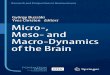 György Buzsáki Yves Christen Editors Micro-, Meso- and ... · meso-, and macrodynamics of the brain. New York City Gy€orgy Buzsa ´ki Paris Yves Christen xiii. Hippocampal Mechanisms