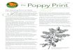 2012 Poppy Print fall - Theodore Payne Foundationtheodorepayne.org/poppyprint/12-4.pdf · 2019. 2. 11. · Dichelostemma ida-maia (firecracker flower). For garden color and cut bouquets: