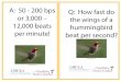 A: 50 - 200 bps Q: How fast do or 3,000 – 12,000 beats ... · A: 50 - 200 bps or 3,000 – 12,000 beats per minute!  Q: How fast do the wings of a hummingbird beat per second?