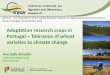 Adaptation research crops in Portugal Tolerance of wheat · 2015. 12. 21. · Wheat Ideotype South Project Focusing cooperation activities, sharing knowledge, exchanging experts,