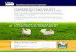 Checklist for Cleaning and Disinfecting Poultry Enclosures · Checklist for Cleaning and Disinfecting Poultry Enclosures Keeping poultry houses, coops, and other enclosures clean