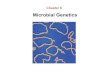 C8 lecture geneticsmc3cb.com/OC2/micro/lectures/C8_lecture_genetics.pdf · Chapter 8 Microbial Genetics. Terminology ... Insert Fig 8.9 (7) and (8) Met Met Met Polypeptide released