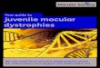 Your guide to juvenile macular dystrophies · Your guide to juvenile macular dystrophies. Introduction. The Macular Society is the national charity for anyone affected by macular