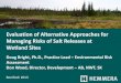 Evaluation of Alternative Approaches for Managing Risks of ... · Evaluation of Alternative Approaches for Managing Risks of Salt Releases at Wetland Sites . Doug Bright, Ph.D., Practice