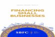 FINANCING SMALL BUSINESSES Report 2018-19.pdf · These are short-term loans that allow borrowers to avail cash discounts from suppliers, provide for enhanced stock during peak seasons