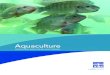 YSI Aquaculture Monitoring & Control Catalog 0715 W24-03 Library/Documents... · monitoring and control instrumentation. As the demand for high quality aquaculture production increases