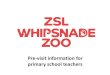 Pre-visit information for primary school teachers pre-vist... · Whipsnade Zoo, however a free Safari Bus provides transport once visitors are inside the Park. Coach driver benefits
