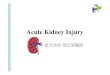 Acute Kidney Acute Kidney Injury Definition - Acute Kidney Injury Network (AKIN) 1. Rapid time course