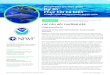 Deepwater Horizon 2020 Dự án Phục hồi Cá biển · 2010 do sự cố tràn dầu Deepwater Horizon, bao gồm cả cá ngừ, cá kiếm và cá thu cũng như cá tầng