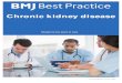Chronic kidney disease - · PDF file 2020. 7. 2.  · Summary Chronic kidney disease (CKD) is a common condition that is often unrecognized until the most advanced stages. Diagnosis