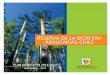 rbaraucarias.clrbaraucarias.cl/red/wp-content/uploads/2014/06/Plan-de-gestión-RBA... · Banco de Imágenes Gobierno Regional de La Araucanía Mapas: Unidad de Gestión de Información