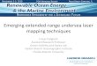 Emerging extended-range undersea laser mapping techniques · Fraser Dalgleish Assistant Research Professor Ocean Visibility and Optics Lab ... Florida Atlantic University. Overview