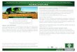 ASSOCIATE OF SCIENCE DEGREE PROGRAM (AS) For Transfer to ... · The associate of science degree in agriculture provides students with a strong foundation of agriculture, math, science