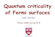 Lec15 Quantum Criticality of Fermi surfacessachdev.physics.harvard.edu/phys268b/Lec15_Quantum... · The Fermi liquid: RG FIG. 3: Alternative low energy formulation of Fermi liquid