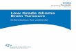 Low Grade Glioma Brain Tumours - LeedsNeurosurgery.com Grade... · A Glioma is a type of brain tumour that is made up from the supportive tissue of the brain, otherwise known as GLIAL