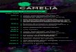 flyer camelia programacion 2018 · 2018. 10. 18. · 2018 11:00 h. Visita “teatralizada” ao Pazo de Santa Cruz de Ribadulla con Andaravía Teatro (Inscrición previa). 12:45 h