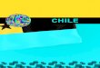 CHILE - Afeevas€¦ · 2. Vehicle categories: 2.1. Heavy Duty Vehicles 2.2. Medium Vehicles 2.3. Heavy Duty Vehicles CHILE 1. Introduction: American and European emissions limits,
