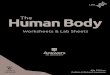 Worksheets & Lab Sheets · Debbie & Richard Lawrence 4th Edition LIFE GOD’S DESIGN ® Worksheets & Lab Sheets Human BodyThe