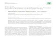 MatrixMetalloproteinase-8asanInflammatoryandPrevention ...downloads.hindawi.com/journals/ijd/2018/7891323.pdf · “MMP-8andperi-implantitis,”and“MMP-8andlow-dose doxycycline.”esynonymssuchasMMP-8,collagenase-2,